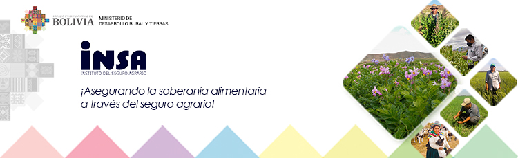 INSA banner 2021