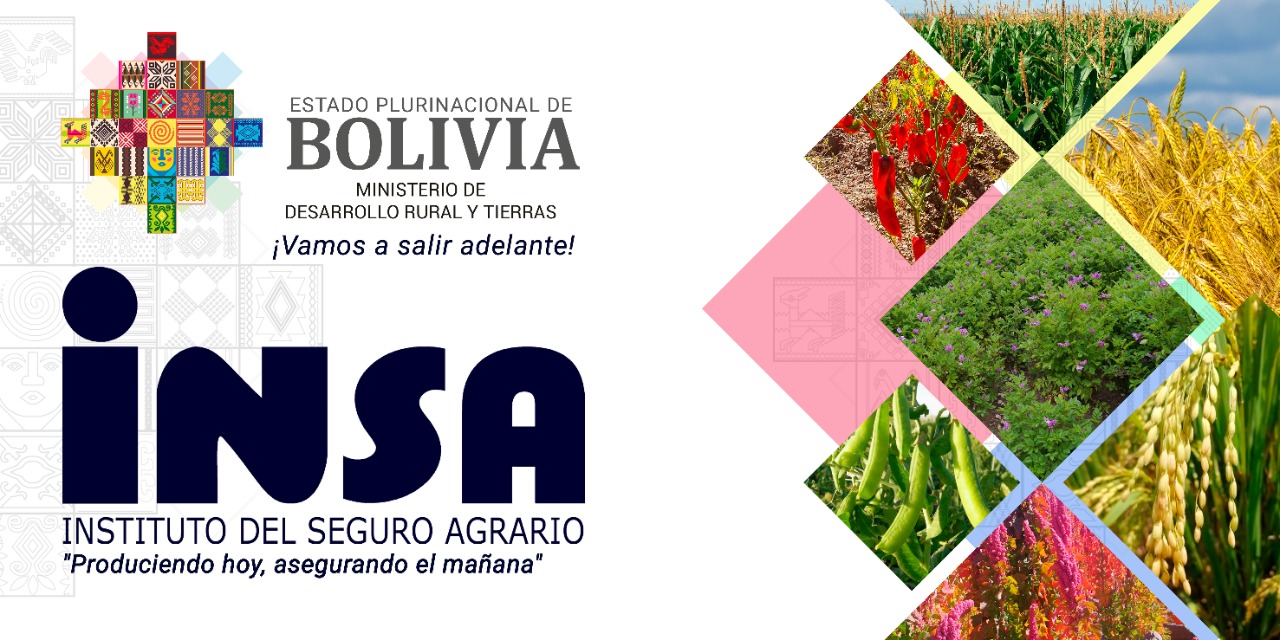 INSA-banner-2021-2